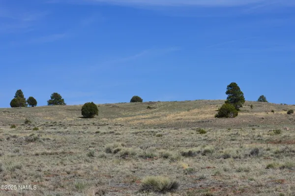 a view of a field