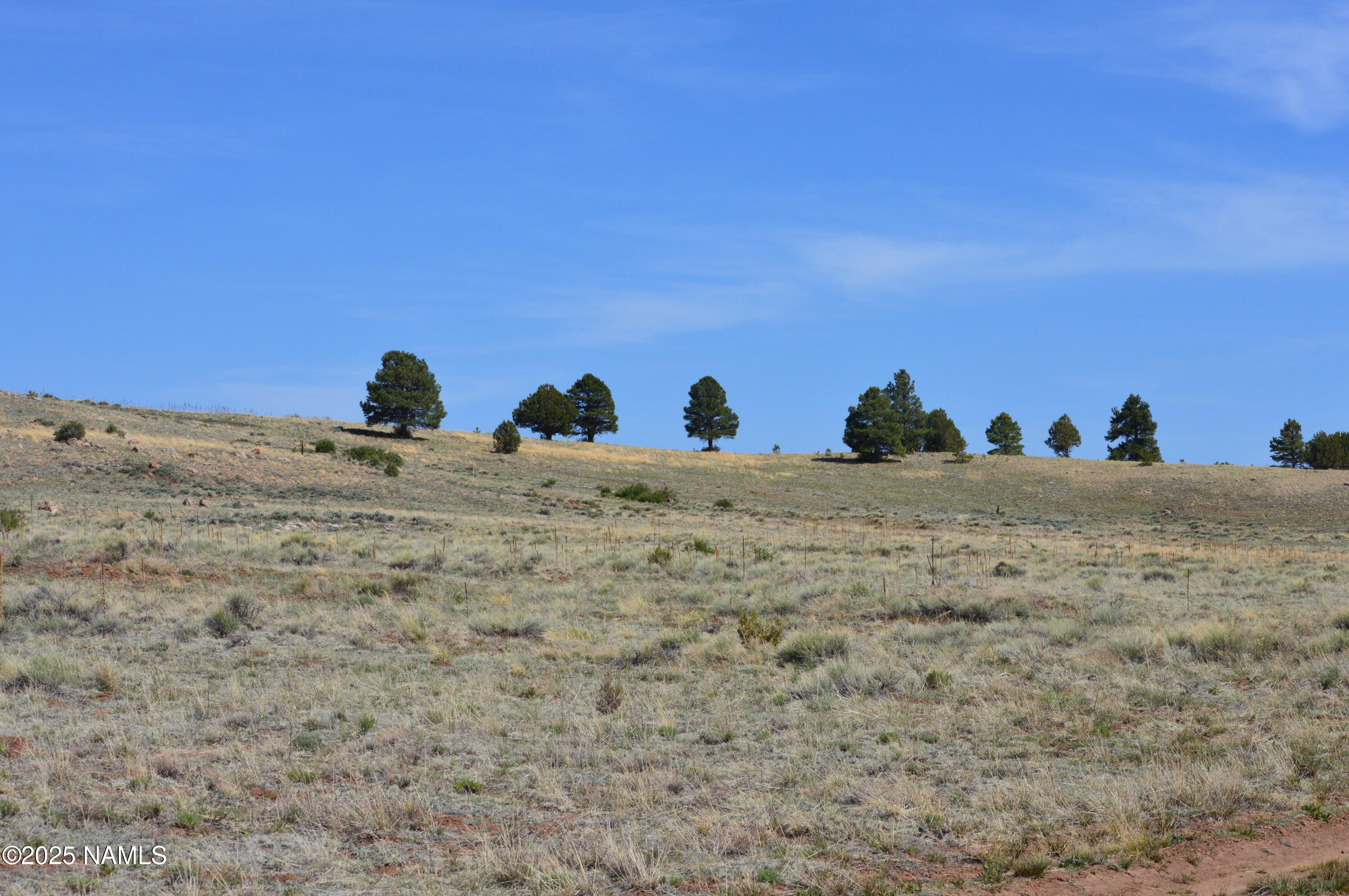 Lot 2 East Tanner Rnch Road Flagstaff, AZ 86005 - Photo 23 of 34 a view of a dry field with trees in the background