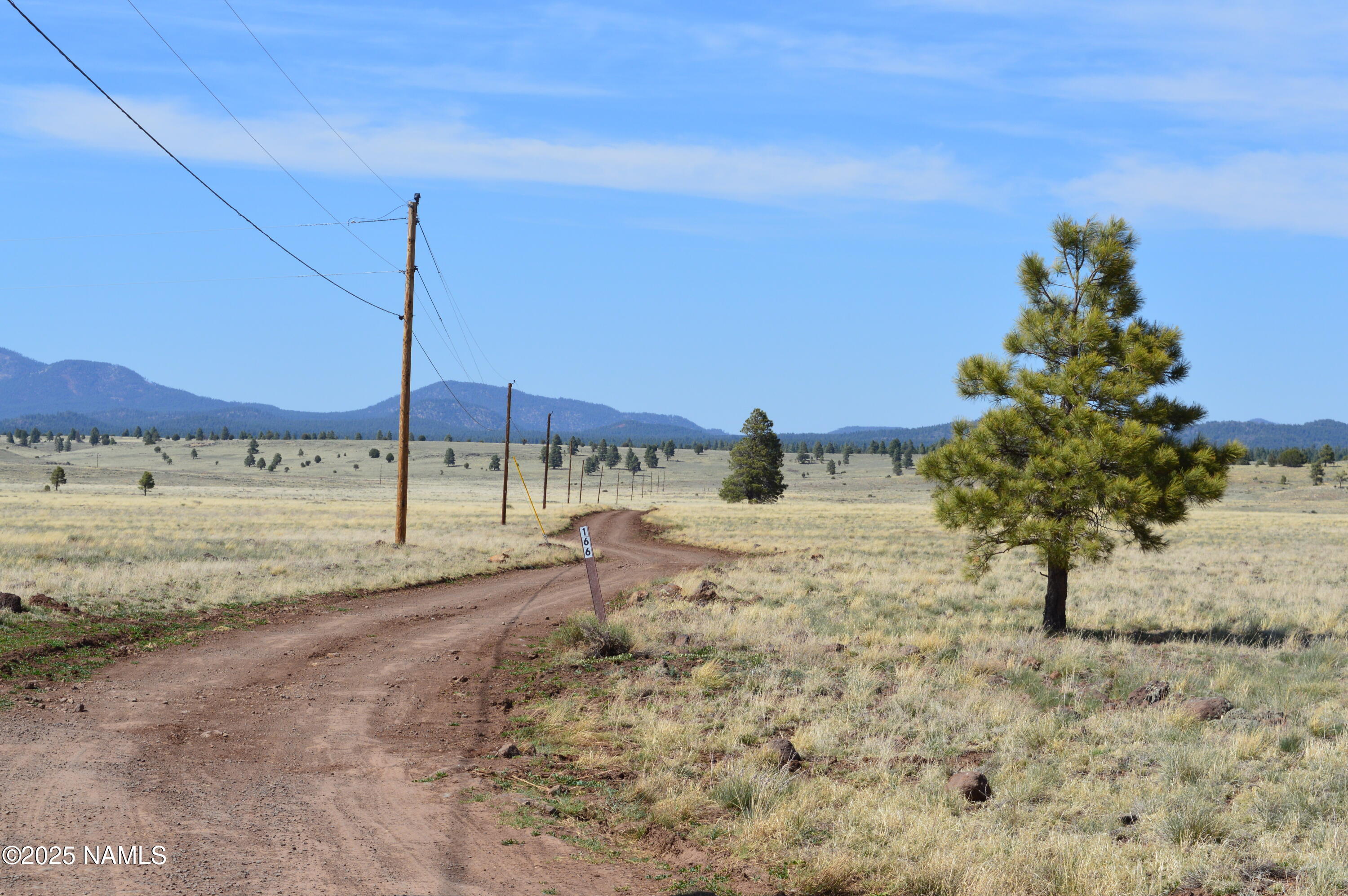 Lot 2 East Tanner Rnch Road Flagstaff, AZ 86005 - Photo 5 of 34 a view of a dry yard with a tree
