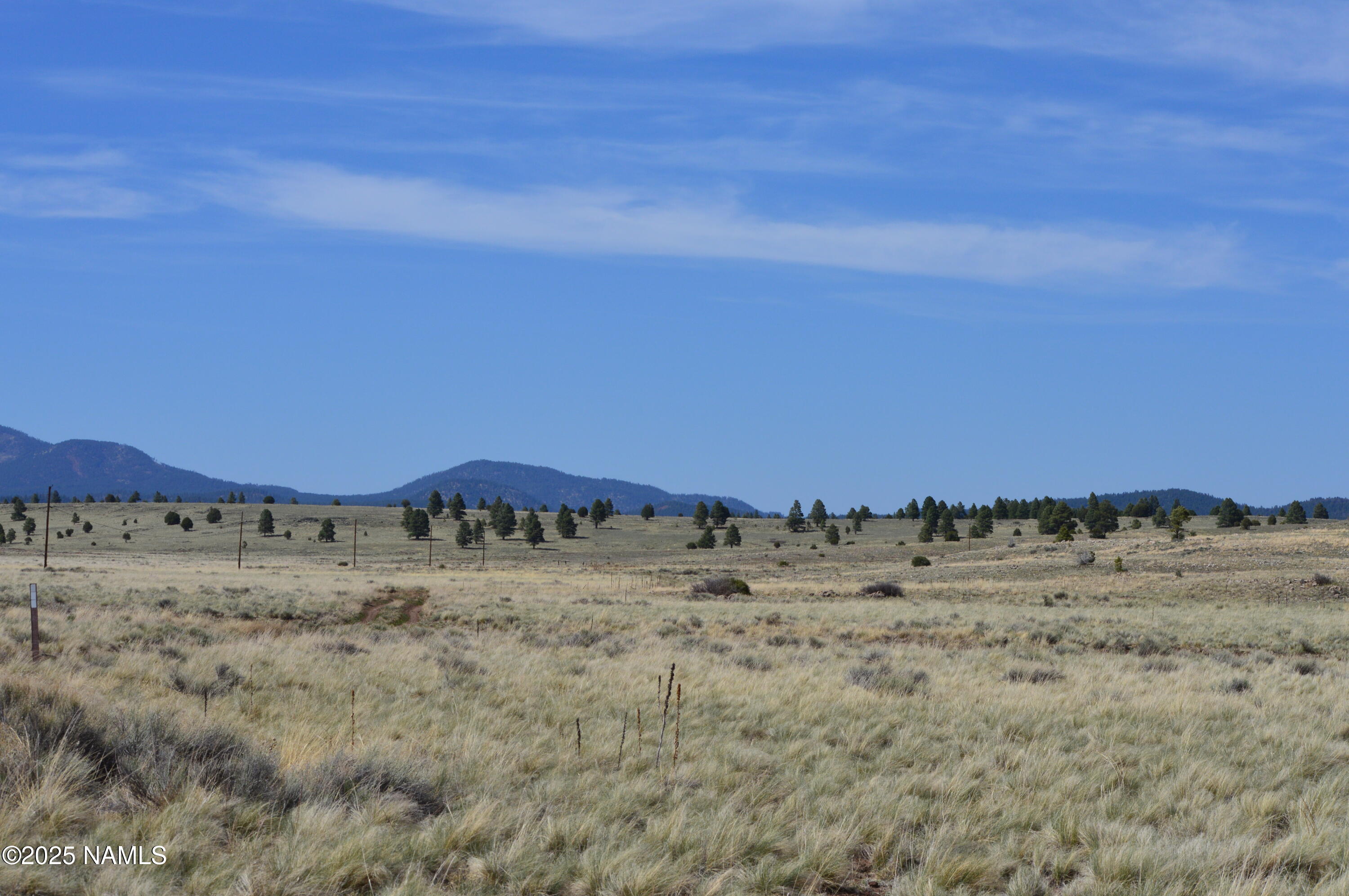 Lot 2 East Tanner Rnch Road Flagstaff, AZ 86005 - Photo 9 of 34 a view of a dry yard with trees
