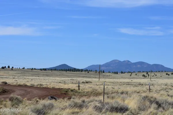 a view of a yard covered in snow