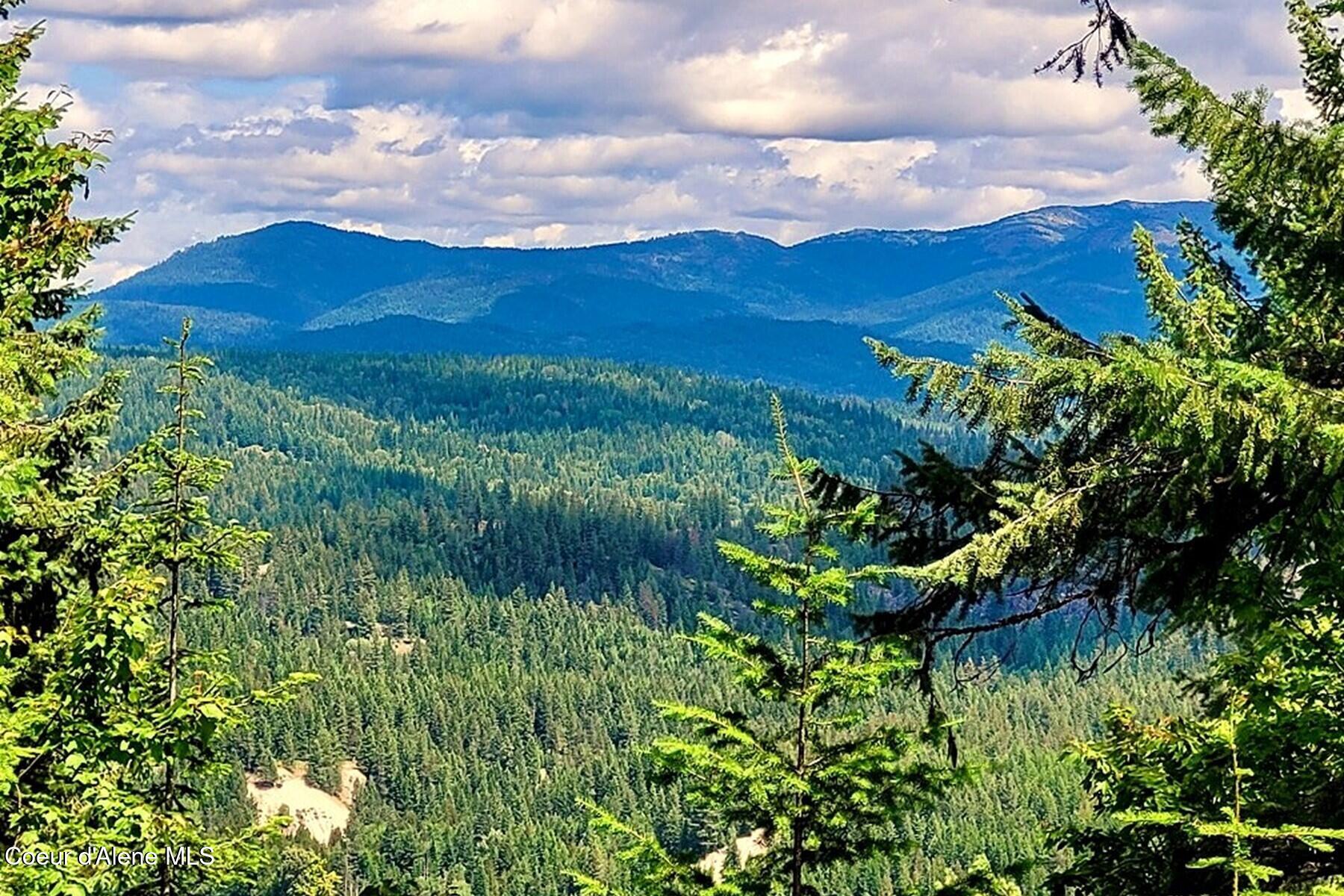 NNA Lower Pack River Road
