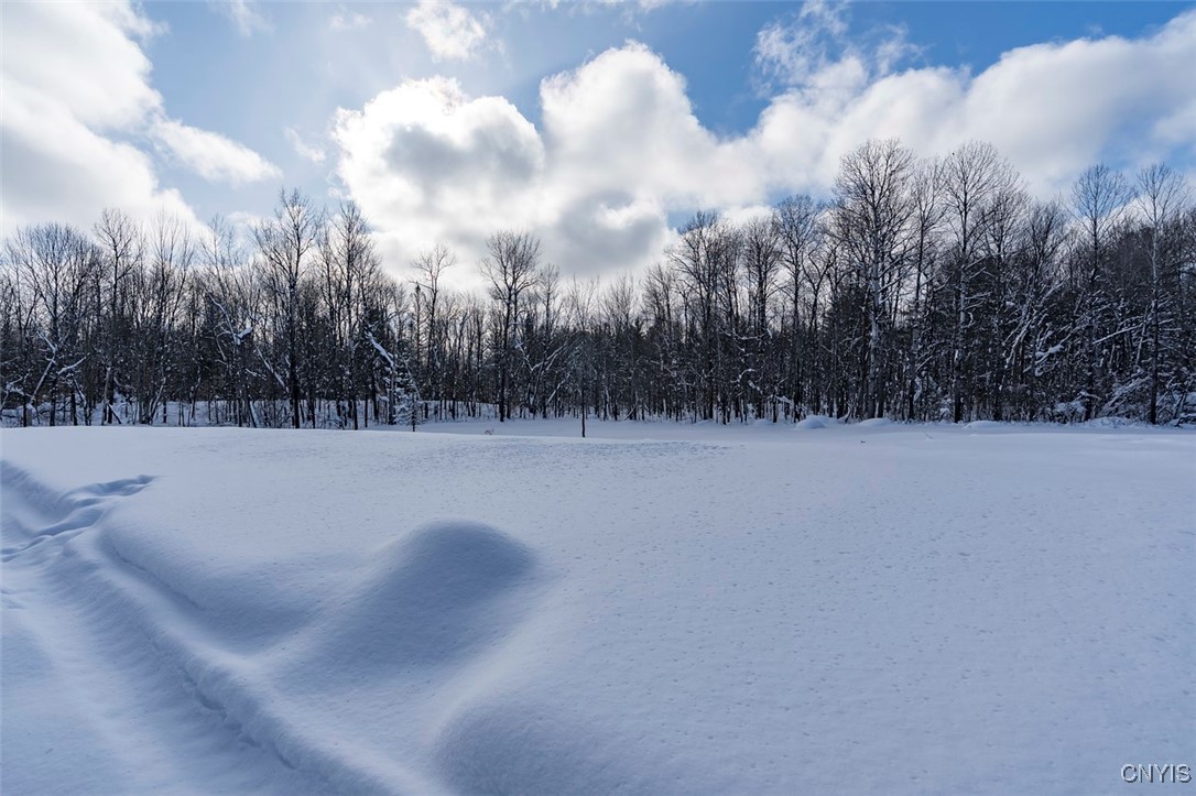 12867 North Croghan Road Wilna, NY 13665 - Photo 45 of 50