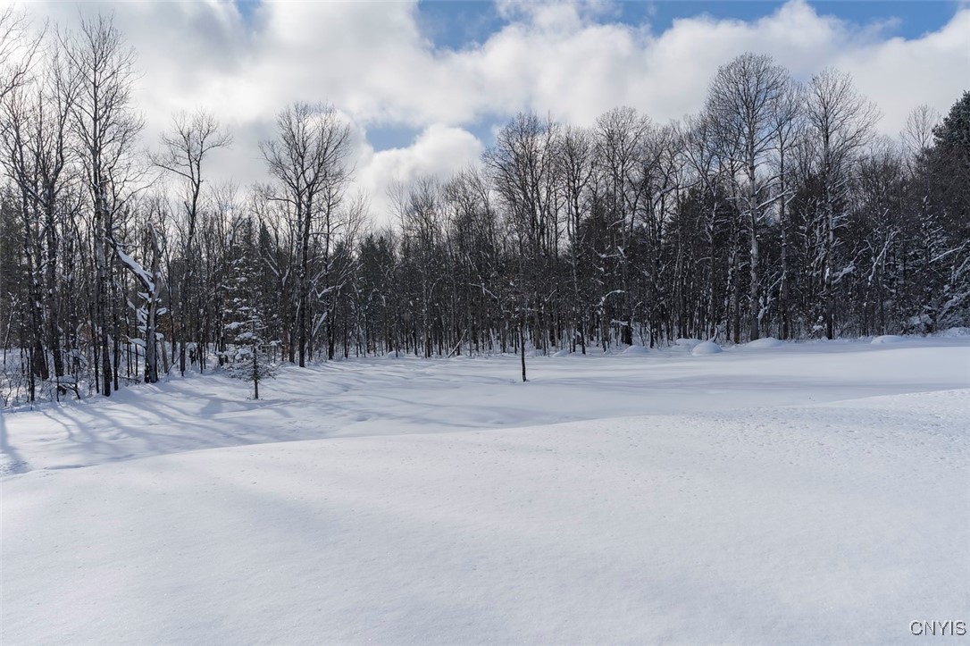 12867 North Croghan Road Wilna, NY 13665 - Photo 46 of 50