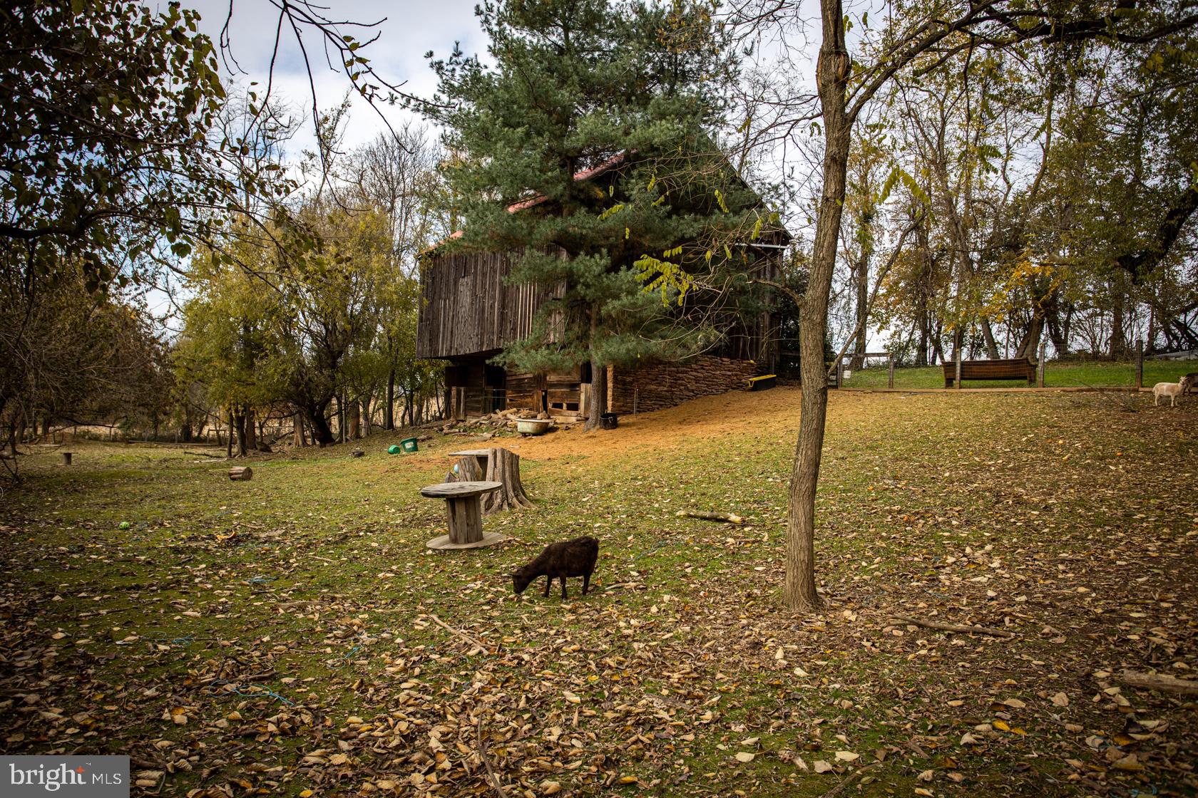 10180 Kohler Road Felton, PA 17322 - Photo 35 of 56 Gallery Image 35
