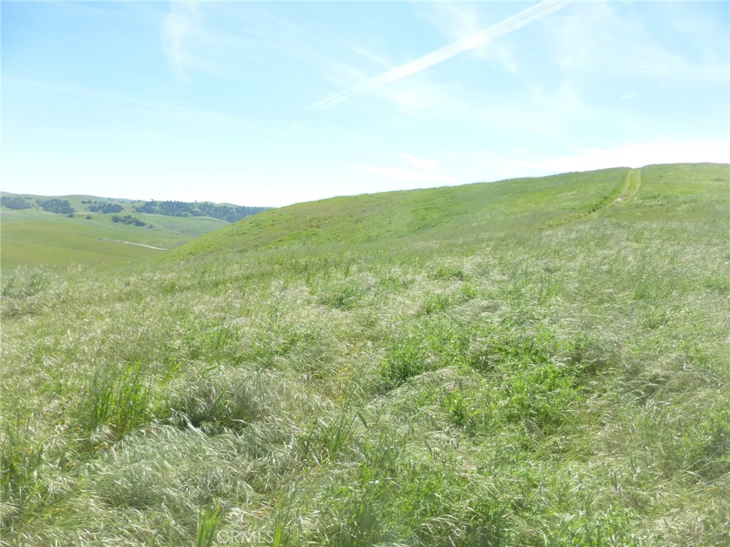 0 Douglas Road San Miguel, CA 93451 - Photo 23 of 51