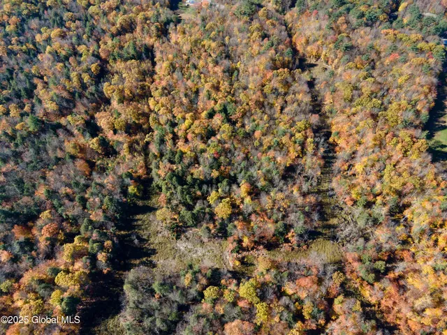 $175,000 | L18 East River Drive, Lake Luzerne, NY 12846