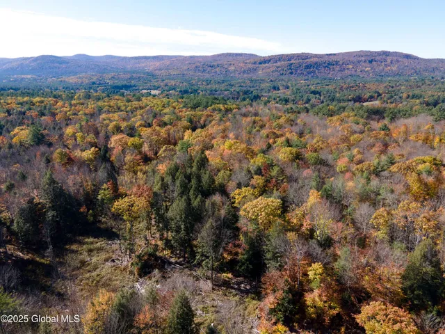 $175,000 | L18 East River Drive, Lake Luzerne, NY 12846