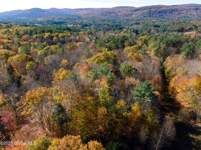 $175,000 | L18 East River Drive, Lake Luzerne, NY 12846