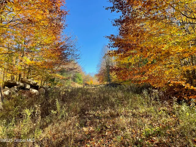 $175,000 | L18 East River Drive, Lake Luzerne, NY 12846