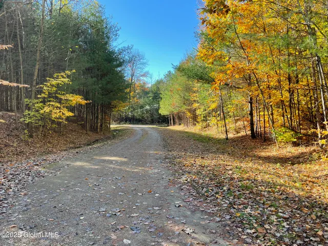 $175,000 | L18 East River Drive, Lake Luzerne, NY 12846