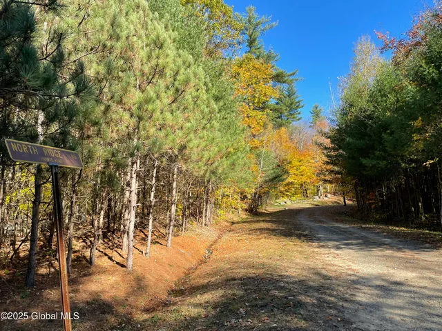 $175,000 | L18 East River Drive, Lake Luzerne, NY 12846