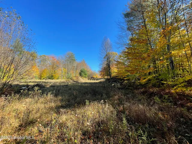 $175,000 | L18 East River Drive, Lake Luzerne, NY 12846