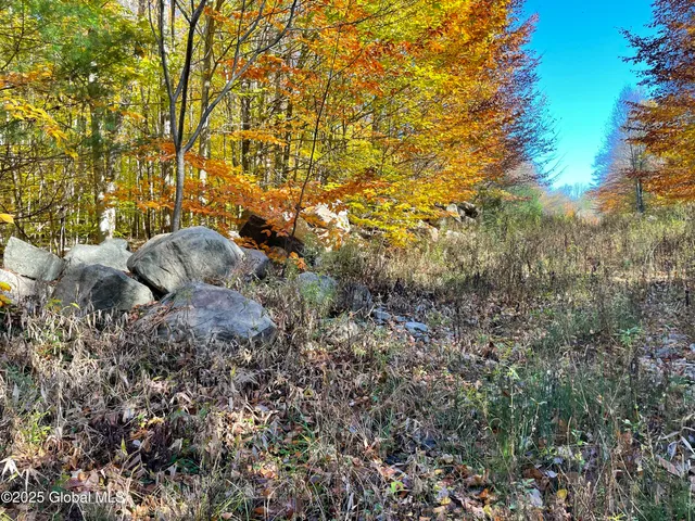 $175,000 | L18 East River Drive, Lake Luzerne, NY 12846