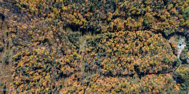 $175,000 | L18 East River Drive, Lake Luzerne, NY 12846