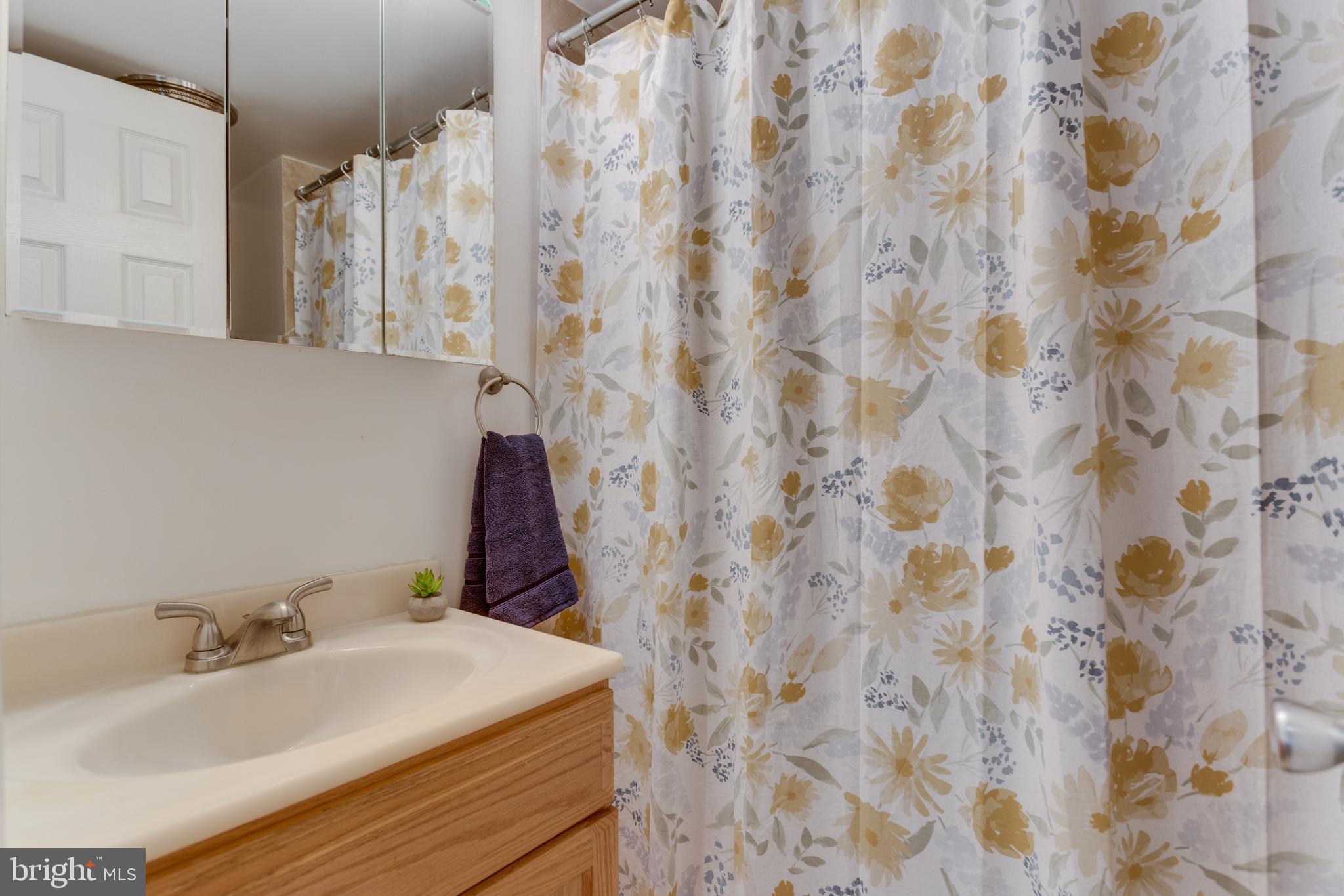 9010 Ridge Drive Fort Washington, MD 20744 - Photo 27 of 35 Full bath 2
