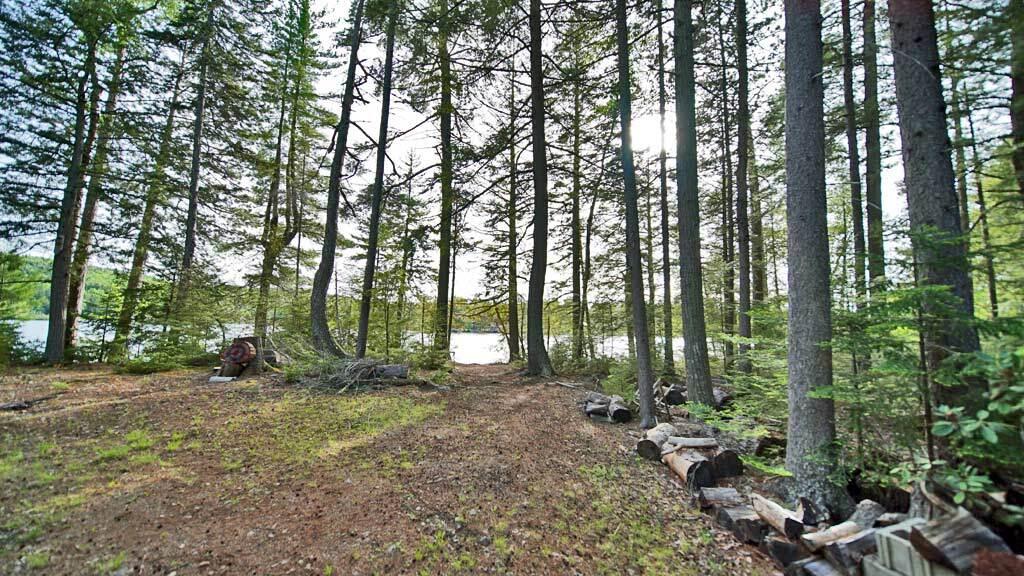 803 Chadwick Pt Road Weston, ME 04424 - Photo 114 of 116 west-side-chadwick-point-la