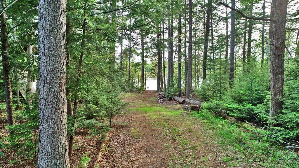 803 Chadwick Pt Road Weston, ME 04424 - Photo 115 of 116 west-side-davenport-cove