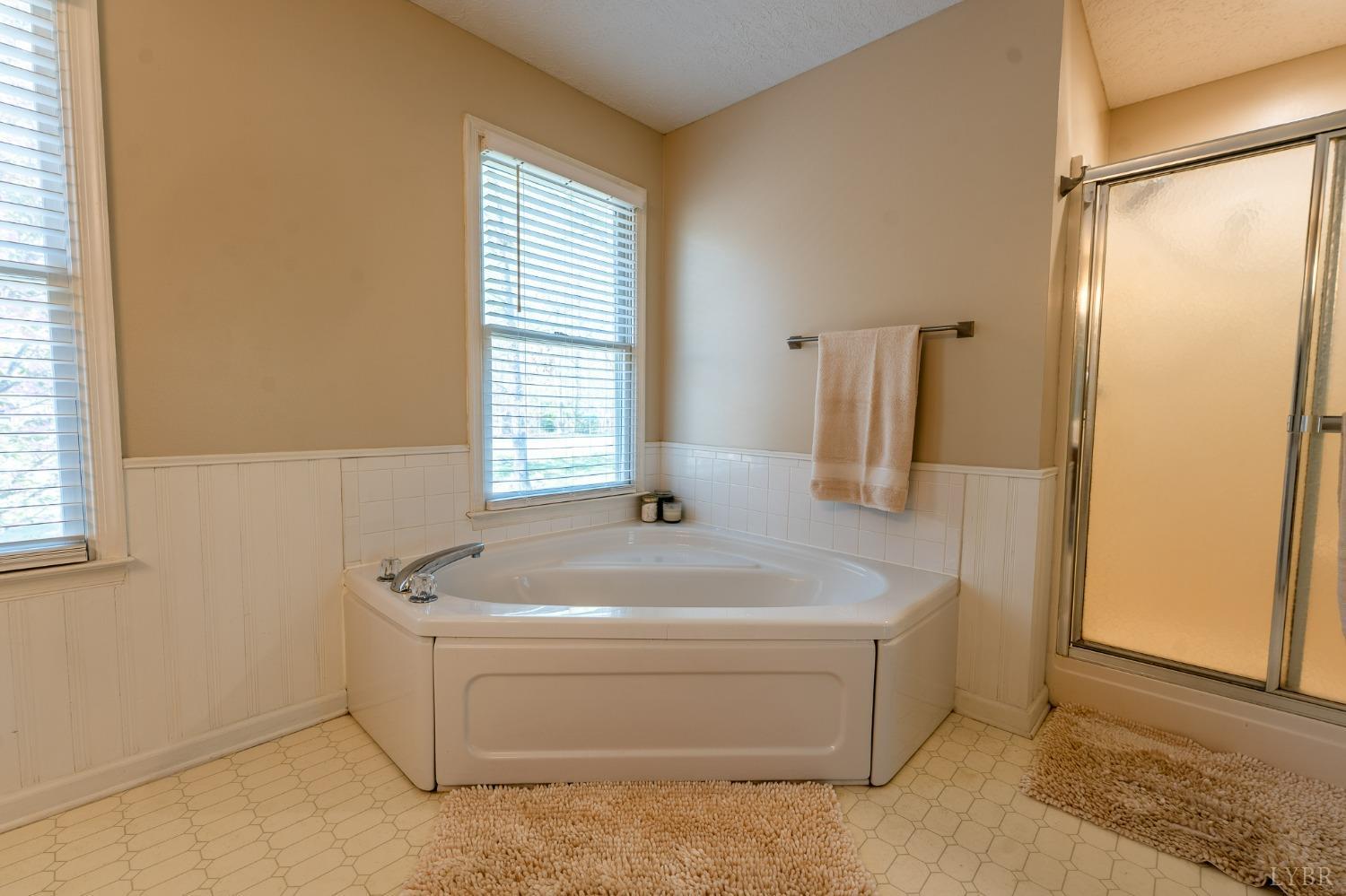 1029 Steeple Chase Drive Evington, VA 24550 - Photo 31 of 52