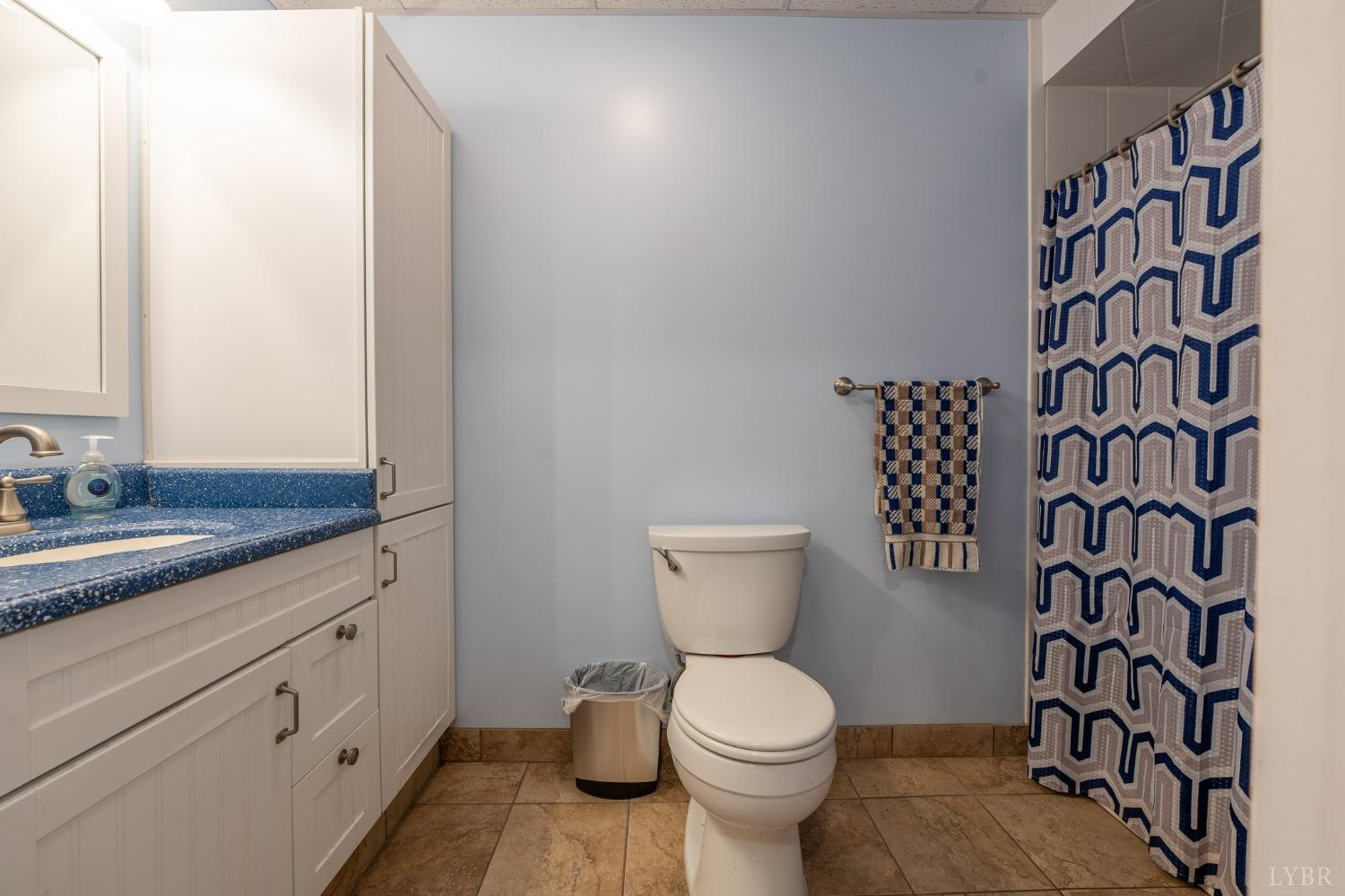 1029 Steeple Chase Drive Evington, VA 24550 - Photo 41 of 52