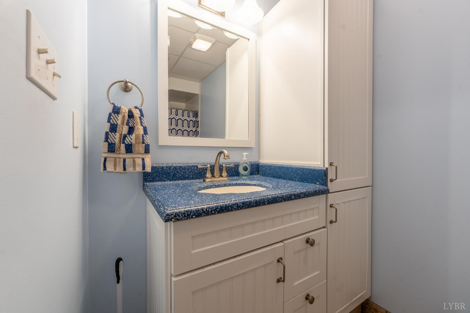 1029 Steeple Chase Drive Evington, VA 24550 - Photo 42 of 52