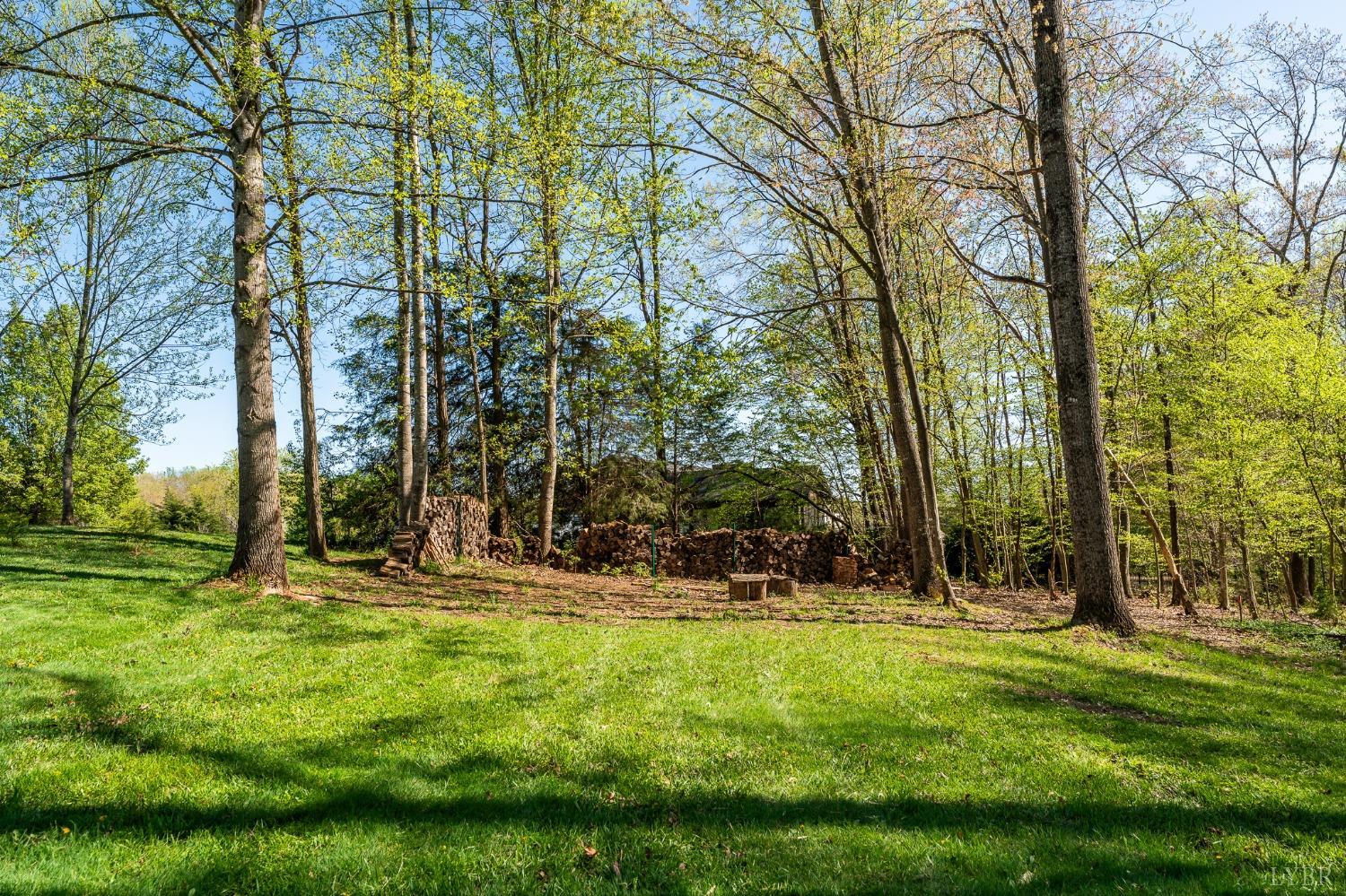 1029 Steeple Chase Drive Evington, VA 24550 - Photo 44 of 52