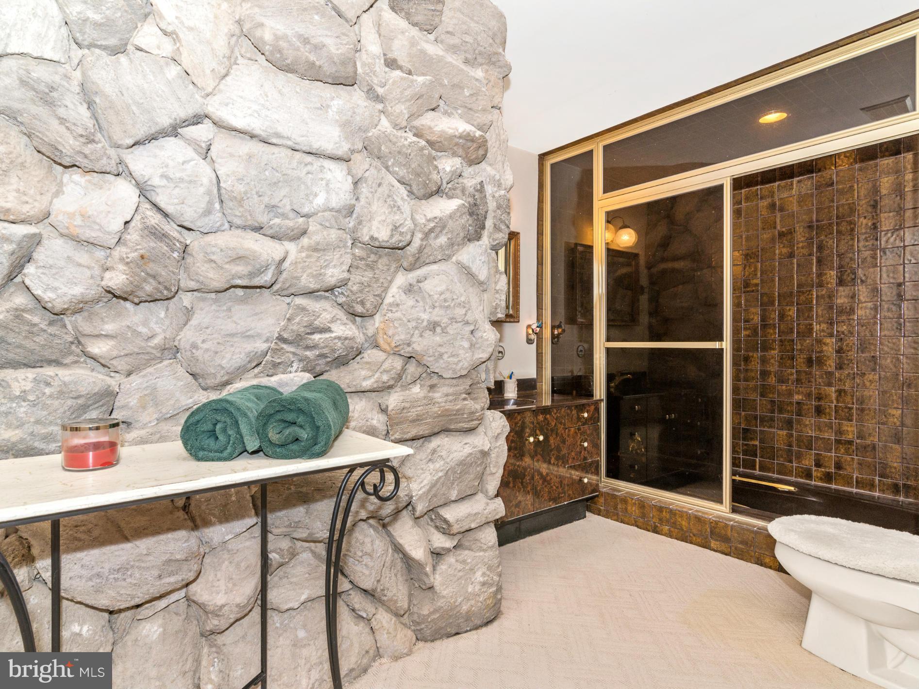 7012 Runkles Road Mount Airy, MD 21771 - Photo 18 of 30 Bath (Master)