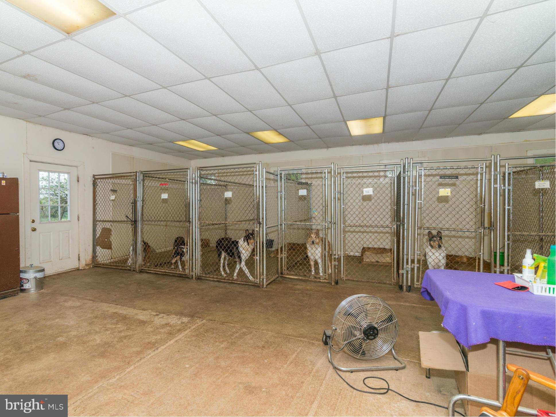 7012 Runkles Road Mount Airy, MD 21771 - Photo 29 of 30 Interior of Kennel