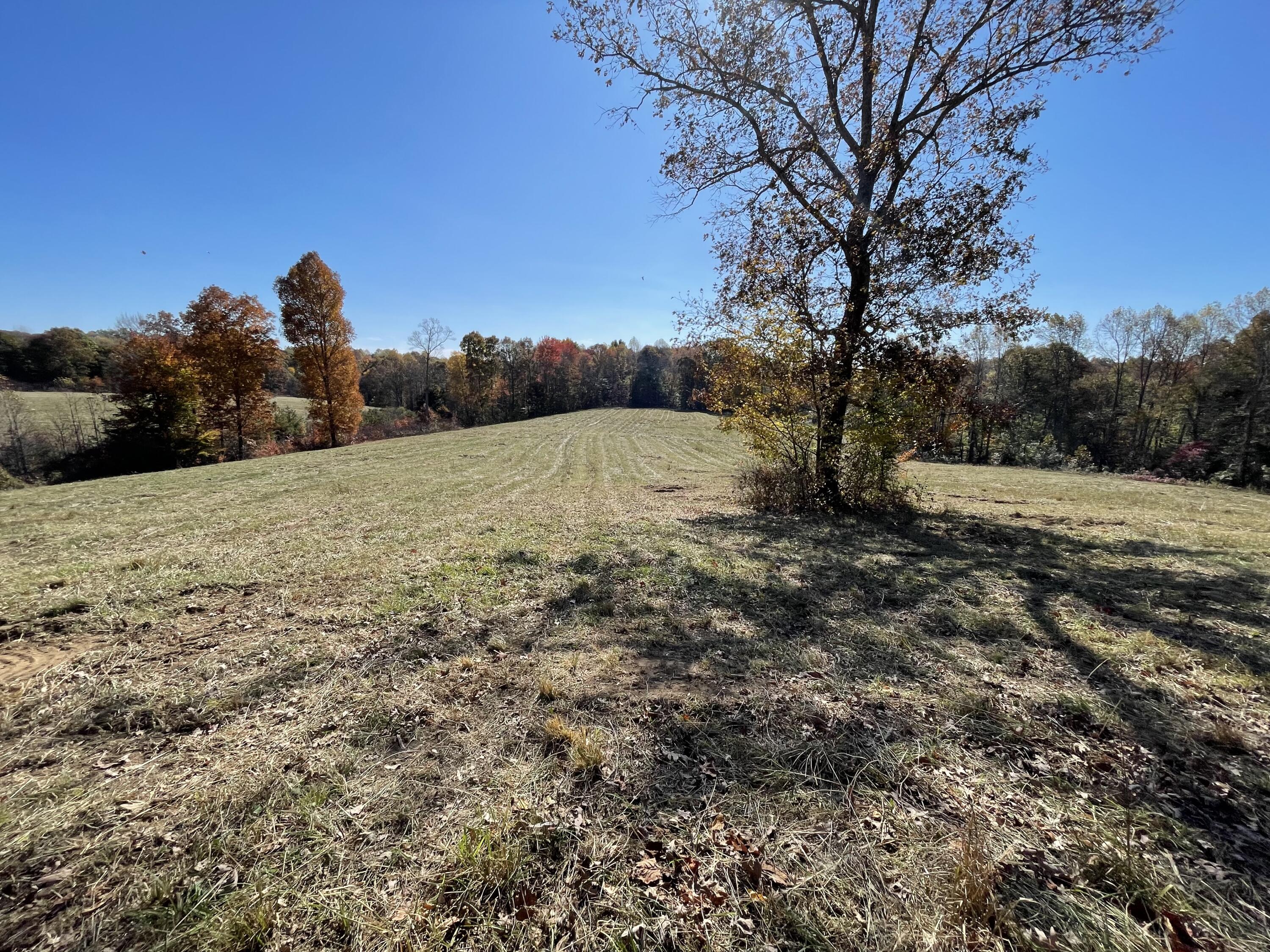 9999 Burnett Road London, KY 40744 - Photo 30 of 44 IMG_4224