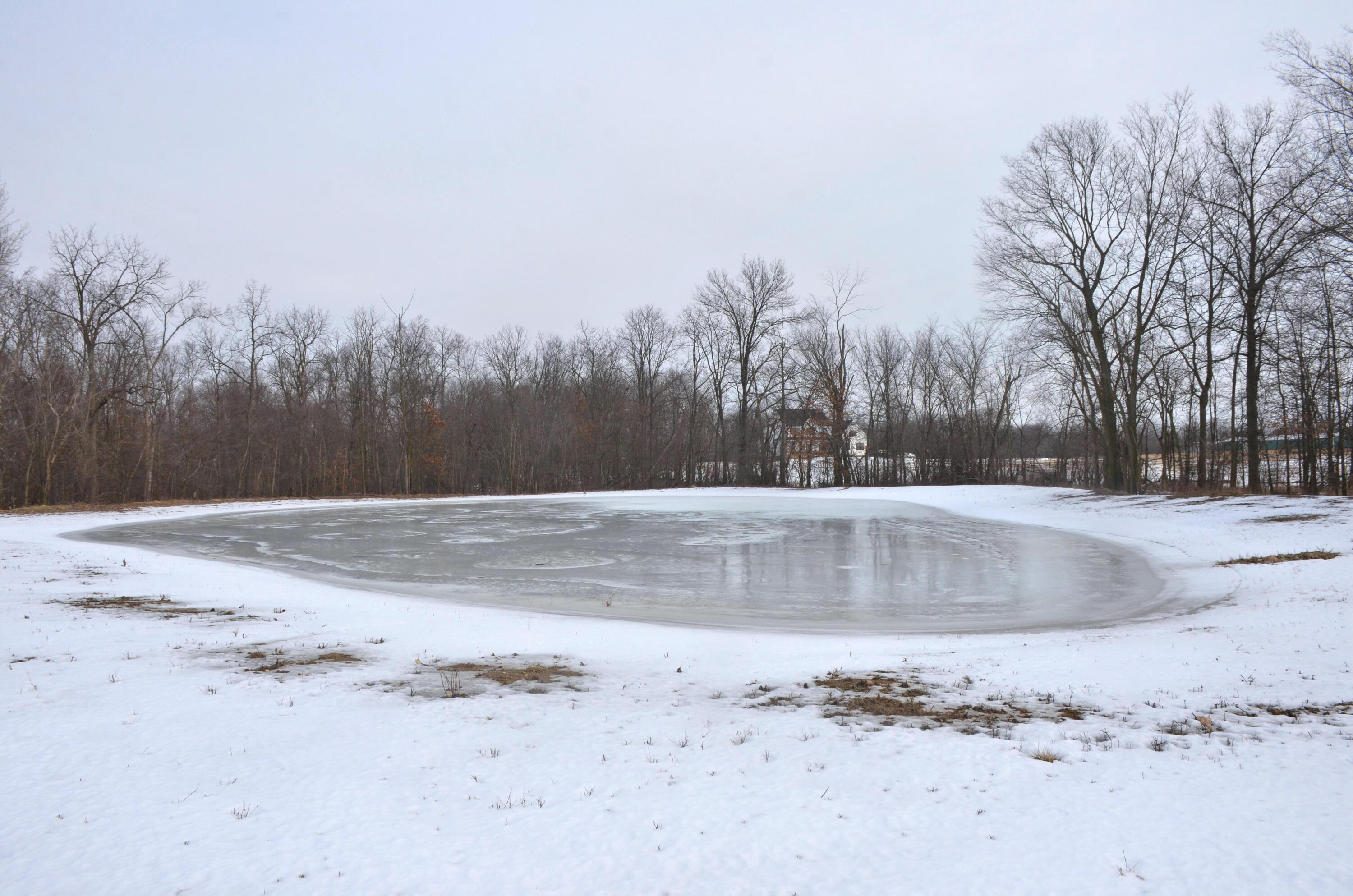 24575 Patrick-Brush Run Road Marysville, OH 43040 - Photo 20 of 99 pond