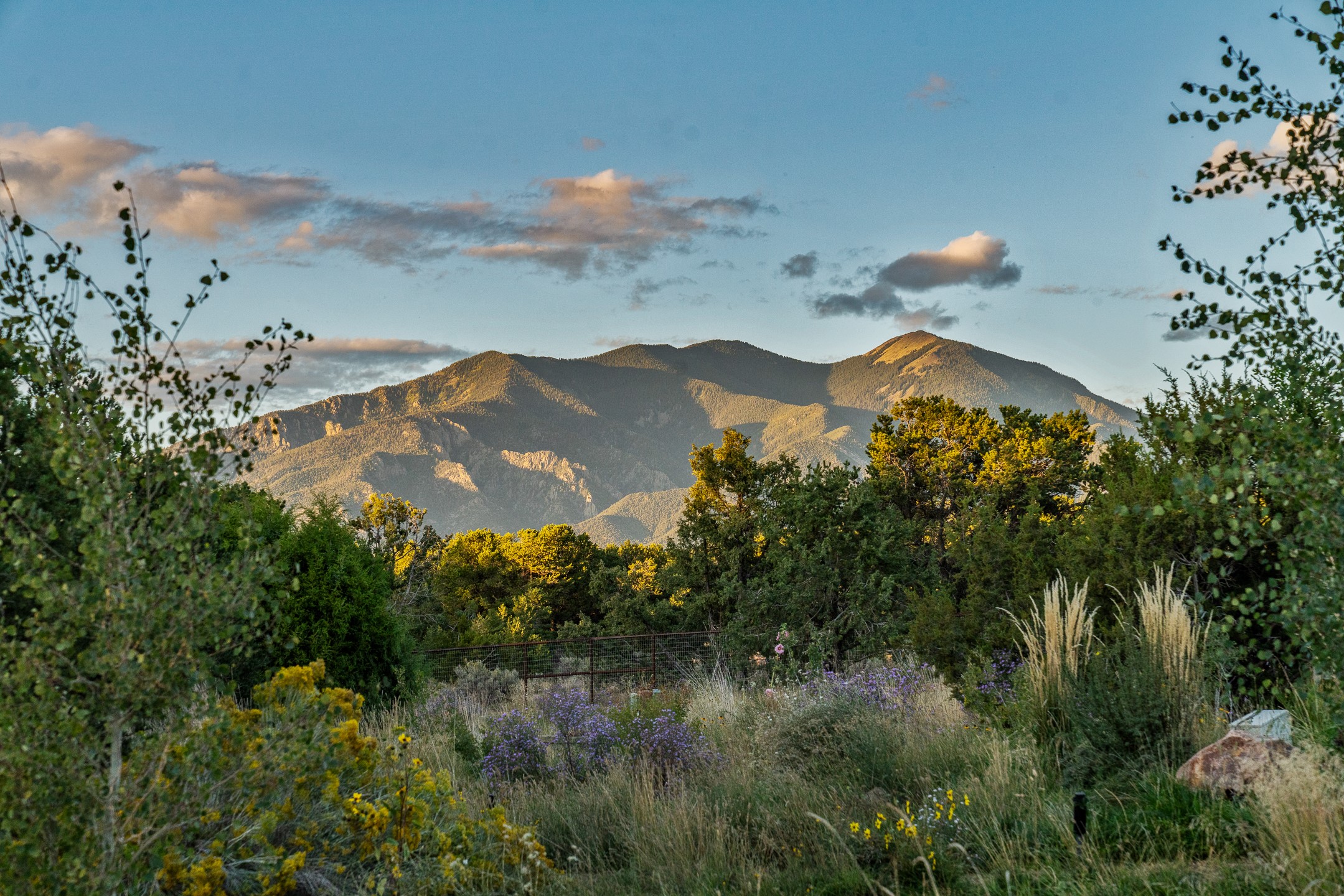 560 Piedmont Road Taos, NM 87571 - Photo 50 of 50