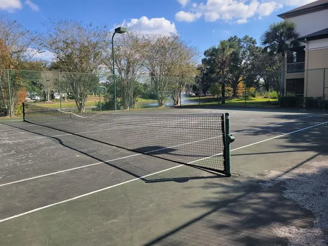 a view of road and trees