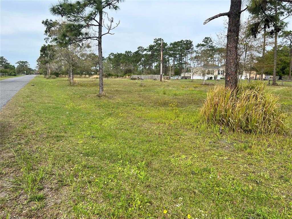 Apollo Ave Street St. Cloud, FL 34773 - Photo 1 of 1 a view of an outdoor space and a yard