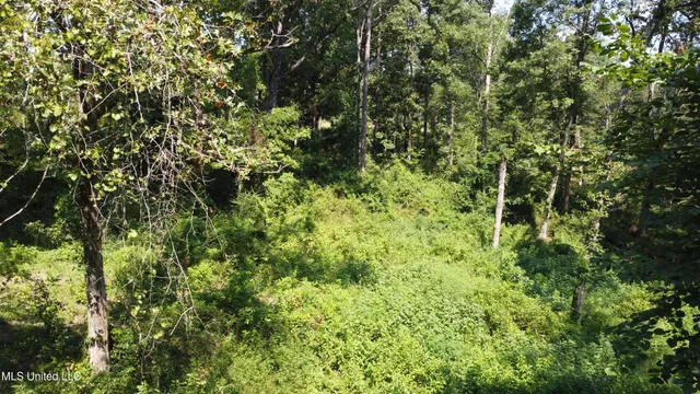 $295,000 | 997 Morgantown Road, Foxworth, MS 39483