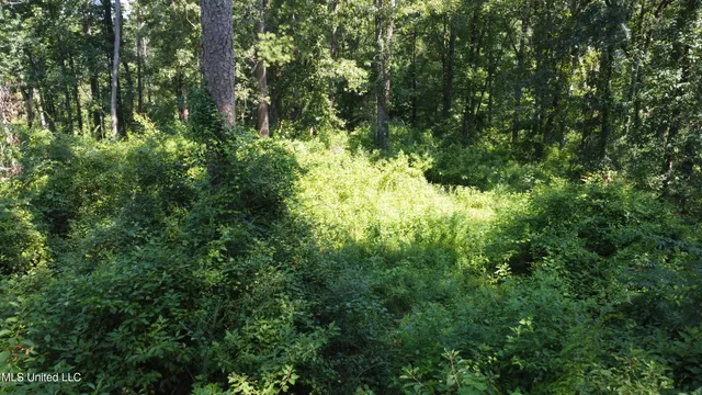 $295,000 | 997 Morgantown Road, Foxworth, MS 39483