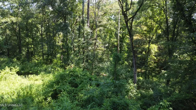 $295,000 | 997 Morgantown Road, Foxworth, MS 39483