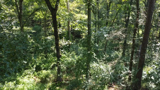 $295,000 | 997 Morgantown Road, Foxworth, MS 39483