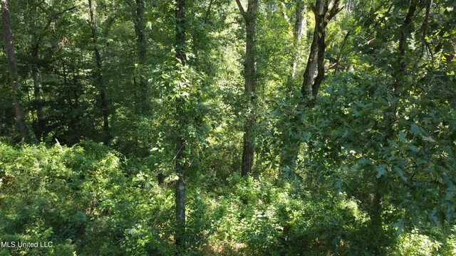 $295,000 | 997 Morgantown Road, Foxworth, MS 39483