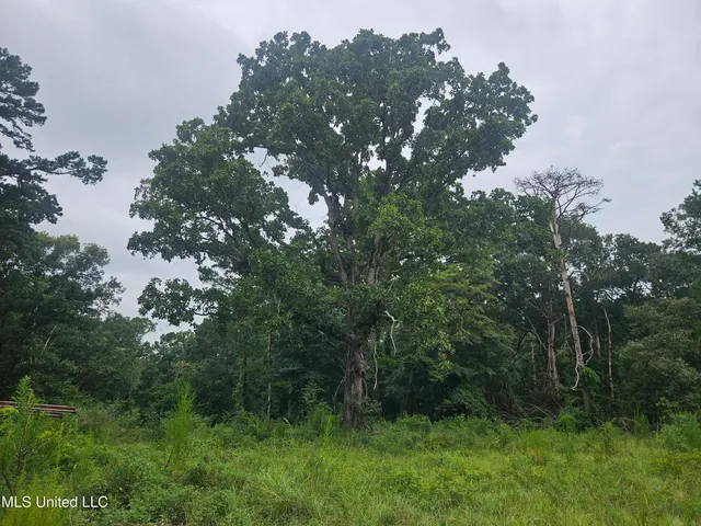 $295,000 | 997 Morgantown Road, Foxworth, MS 39483