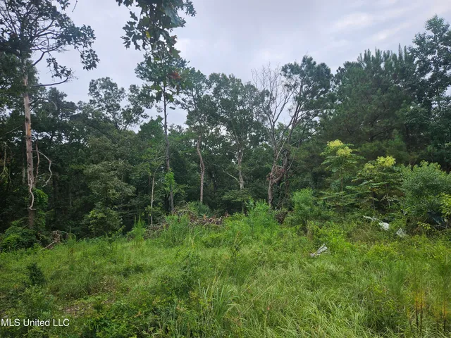 $295,000 | 997 Morgantown Road, Foxworth, MS 39483