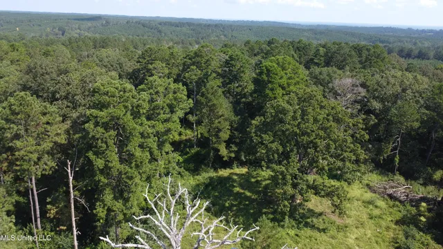 $295,000 | 997 Morgantown Road, Foxworth, MS 39483