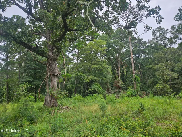 $295,000 | 997 Morgantown Road, Foxworth, MS 39483