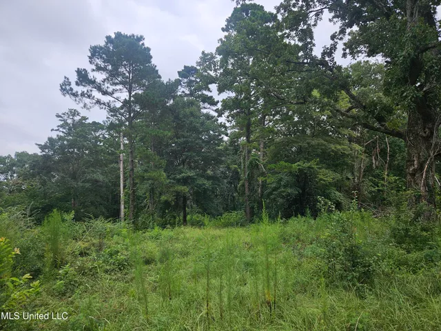 $295,000 | 997 Morgantown Road, Foxworth, MS 39483