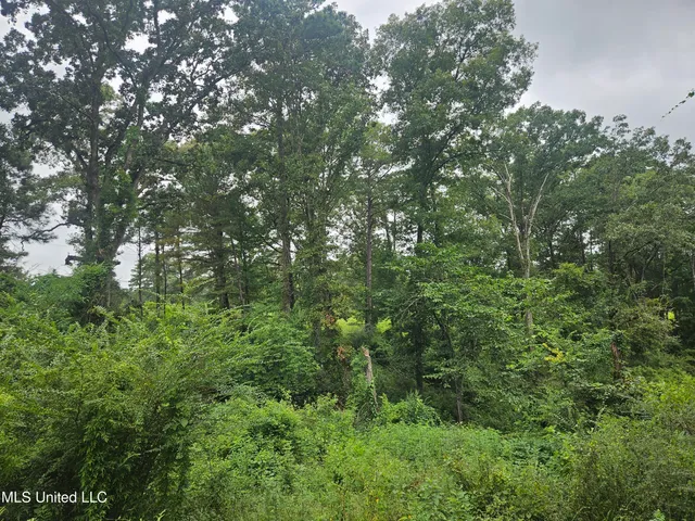 $295,000 | 997 Morgantown Road, Foxworth, MS 39483