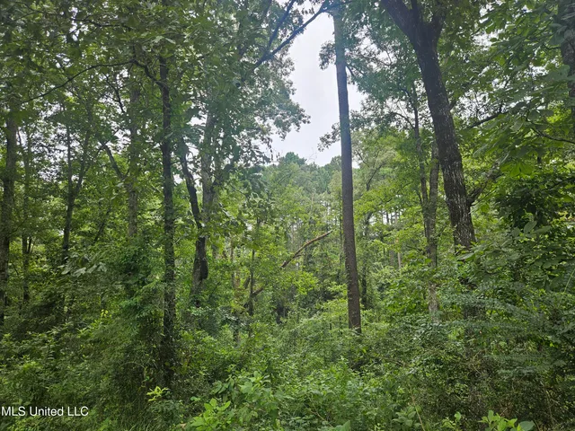 $295,000 | 997 Morgantown Road, Foxworth, MS 39483