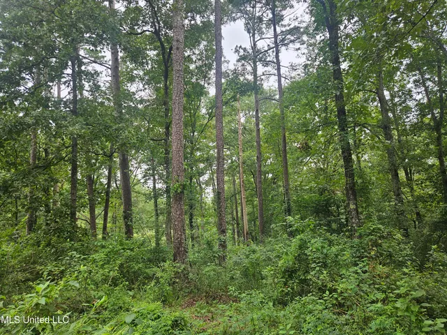 $295,000 | 997 Morgantown Road, Foxworth, MS 39483