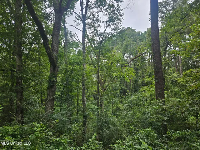 $295,000 | 997 Morgantown Road, Foxworth, MS 39483