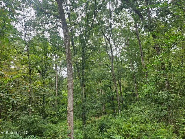 $295,000 | 997 Morgantown Road, Foxworth, MS 39483