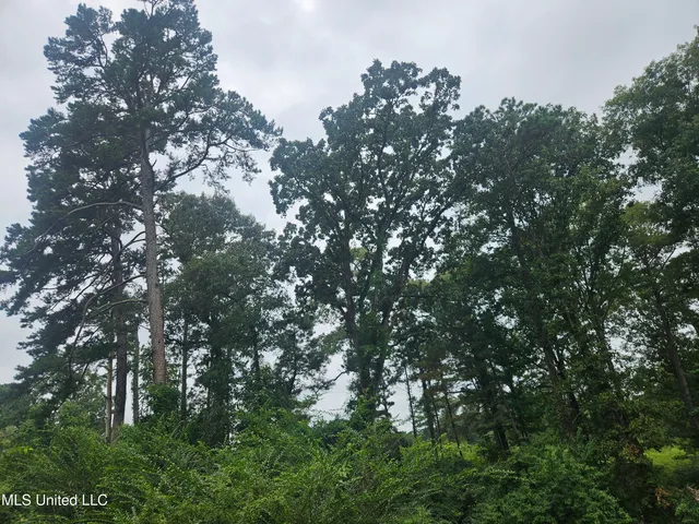 $295,000 | 997 Morgantown Road, Foxworth, MS 39483