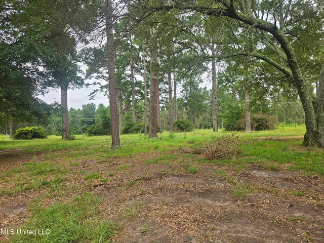 $295,000 | 997 Morgantown Road, Foxworth, MS 39483